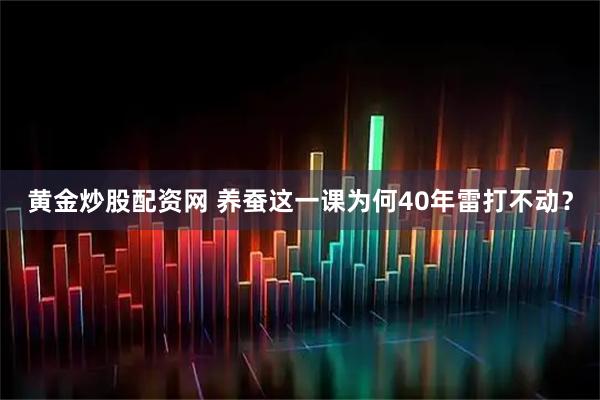 黄金炒股配资网 养蚕这一课为何40年雷打不动？